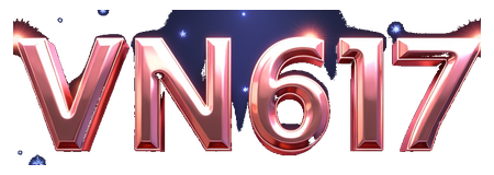 vn617 logo